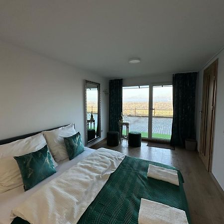 Apartament Bena Ze Zjawiskowym Tarasem Widokowym Chełmno Extérieur photo